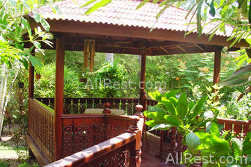 Coconut Paradise 3
